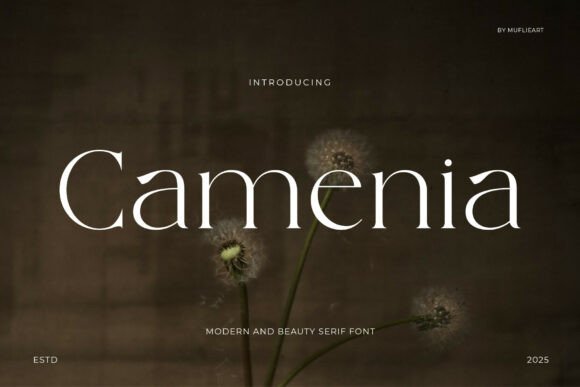 Camenia: A Modern Serif Font for Professional Branding