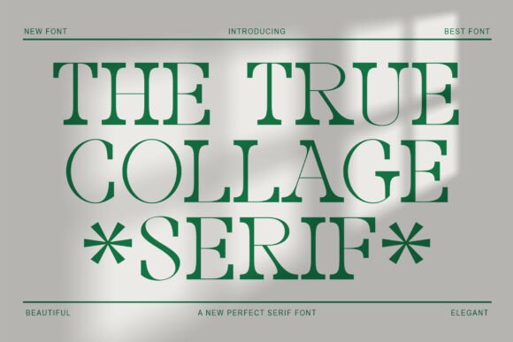 The True Collage: A Bold Serif Font for Branding That Stands Out